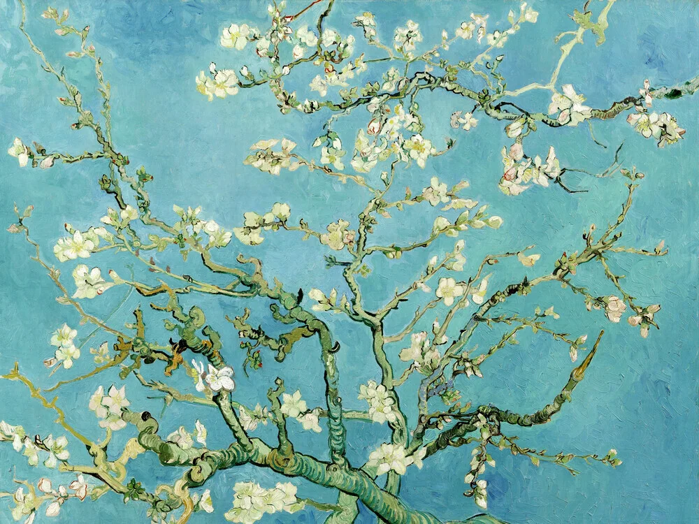 Vincent van Gogh: Almond blossom - Fineart photography by Art Classics