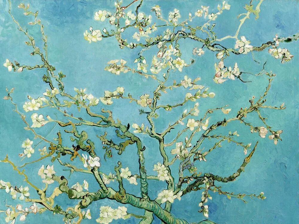 Vincent van Gogh: Mandelblüte - fotokunst von Art Classics