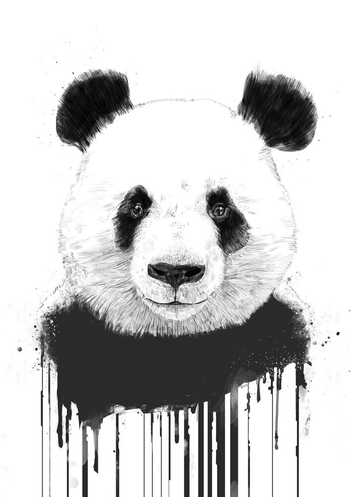 Graffiti panda - fotokunst von Balazs Solti