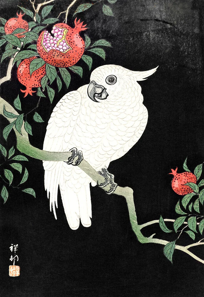 Ohara Koson: Cockatoo and Pomegranate - Fineart photography by Japanese Vintage Art