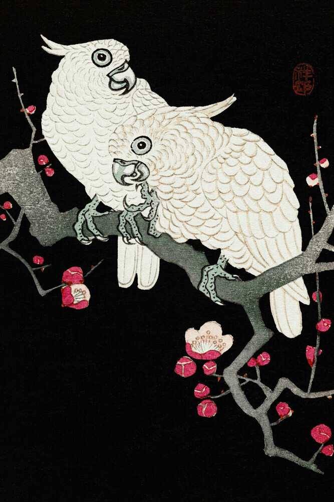 Ohara Koson: Two cockatoo and plum blossom - Fineart photography by Japanese Vintage Art