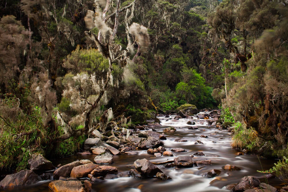 Bujuku River - fotokunst von Boris Buschardt