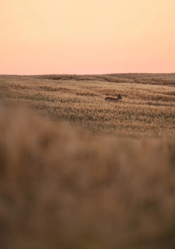 Countryside #1 - fotokunst von Patrick Noack