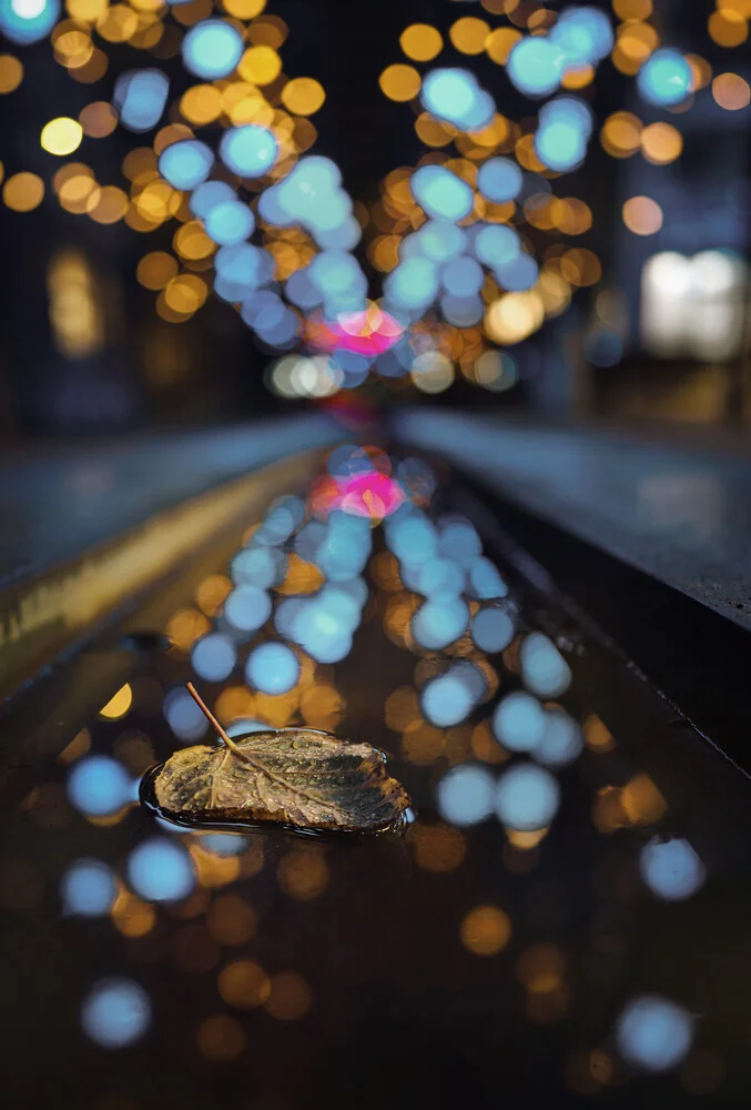 Reflected Bokeh - fotokunst von Patrick Noack