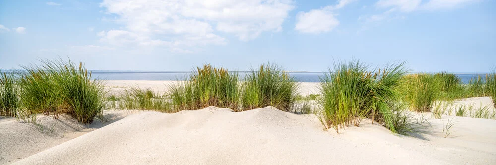 Dünenlandschaft mit Strandhafer - fotokunst von Jan Becke