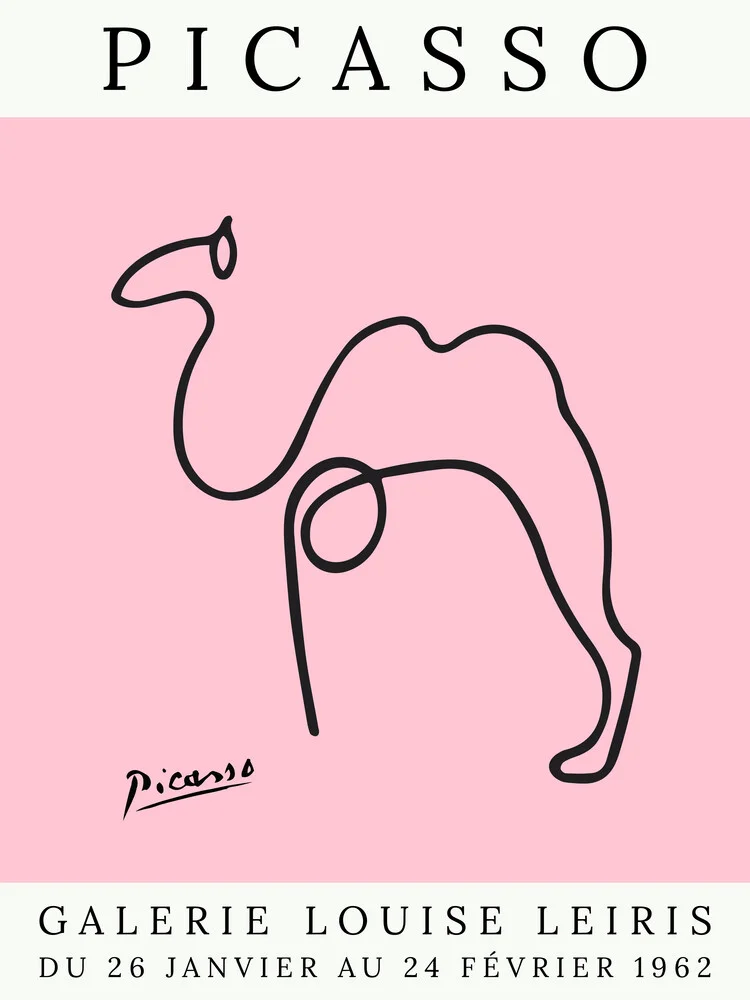 Picasso Kamel – rosa - fotokunst von Art Classics