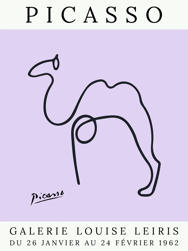 Picasso Kamel – lila - fotokunst von Art Classics