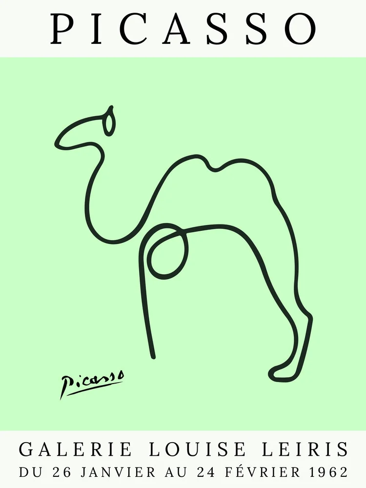 Picasso Kamel – grün - fotokunst von Art Classics