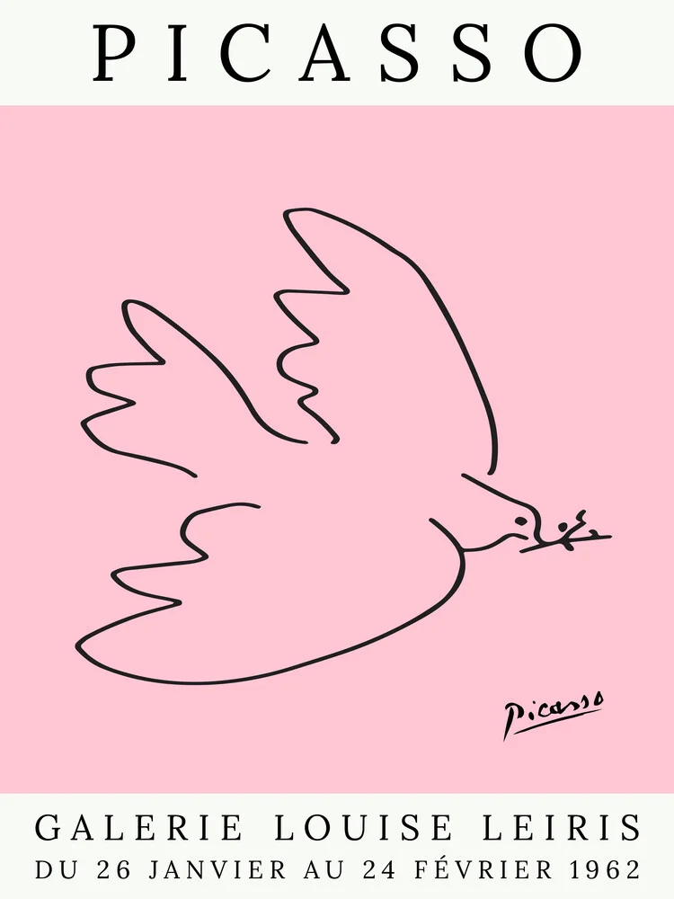 Picasso Taube – rosa - fotokunst von Art Classics