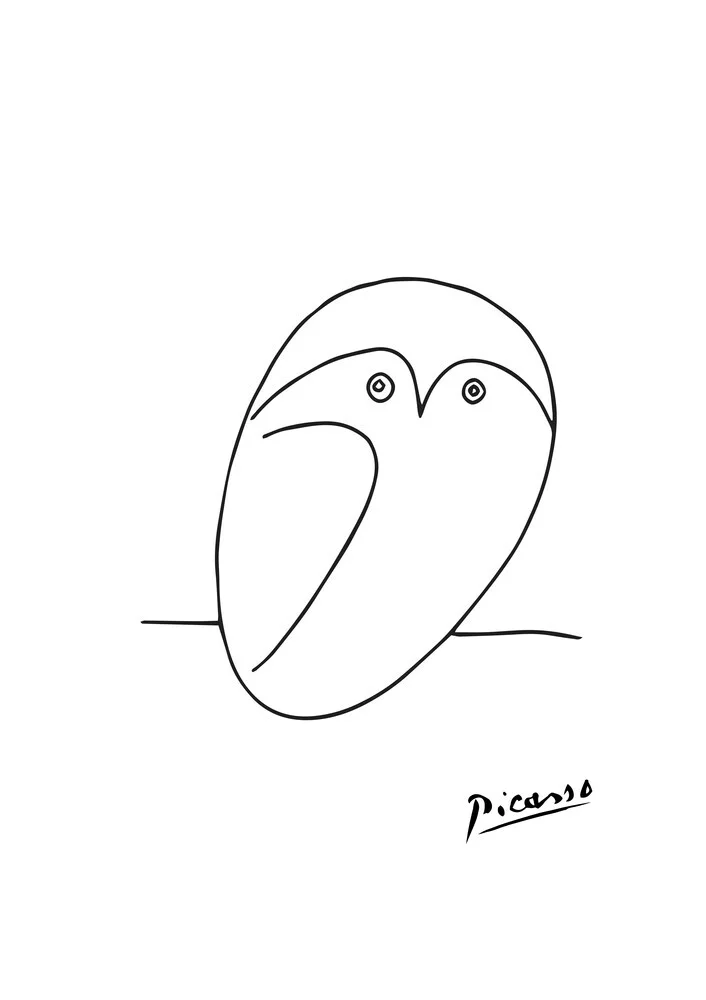 Picasso Eule - fotokunst von Art Classics