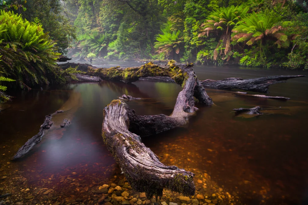 Styx River - Fineart photography by Boris Buschardt