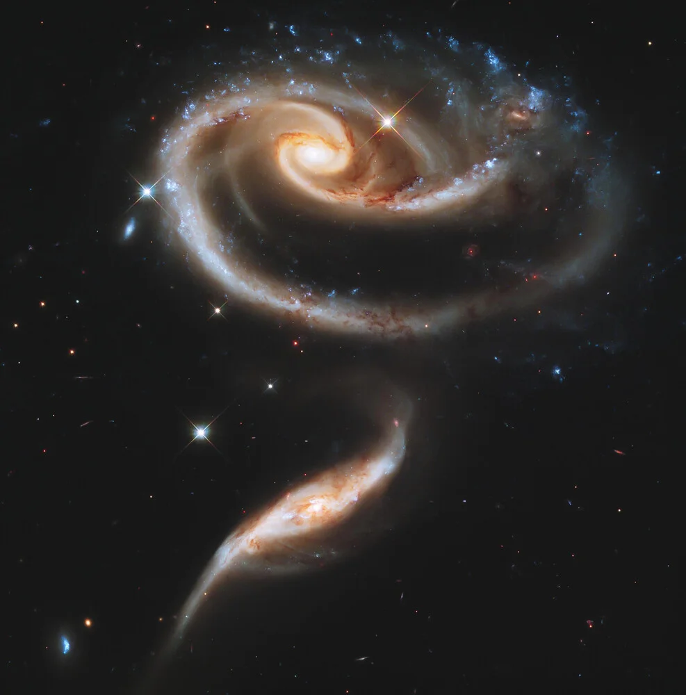 Rose of Galaxies - fotokunst von Nasa Visions