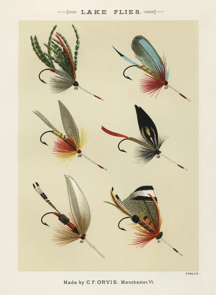 Mary Orvis Marbury: Lake Flies - fotokunst von Vintage Nature Graphics