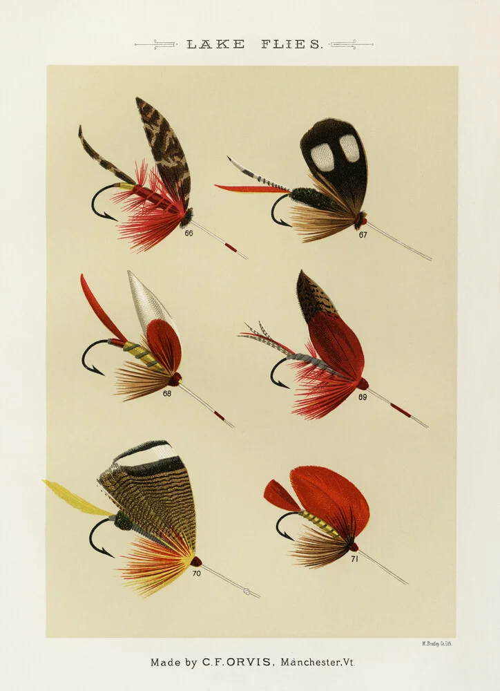 Mary Orvis Marbury: Lake Flies 2 - fotokunst von Vintage Nature Graphics