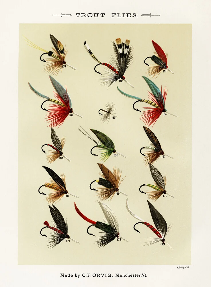 Mary Orvis Marbury: Trout Flies - fotokunst von Vintage Nature Graphics