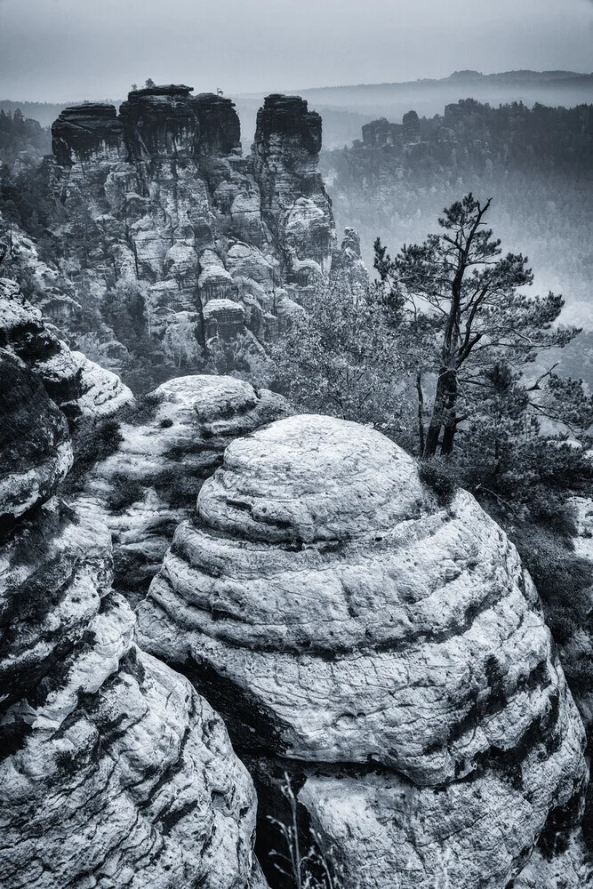 Bastei, Saxon Switzerland - Fineart photography by Mikolaj Gospodarek