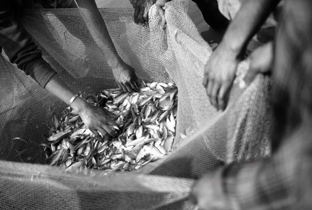 Fishermen evaluate their catch - fotokunst von Jakob Berr