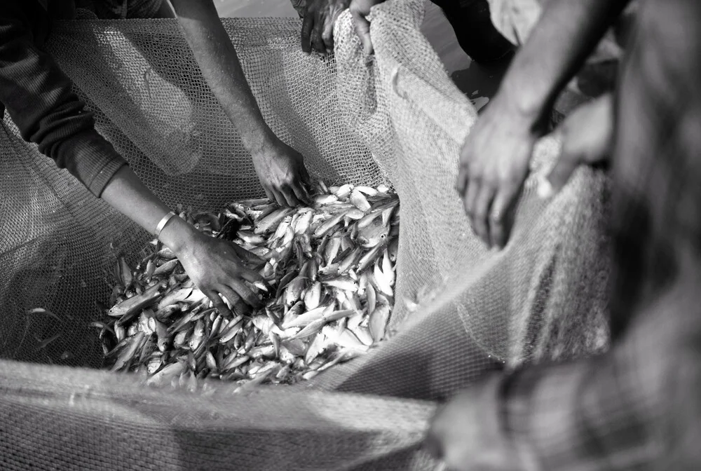 Fishermen evaluate their catch - Fineart photography by Jakob Berr