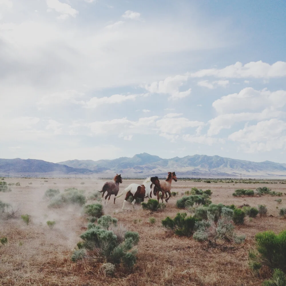 Running Free - fotokunst von Kevin Russ