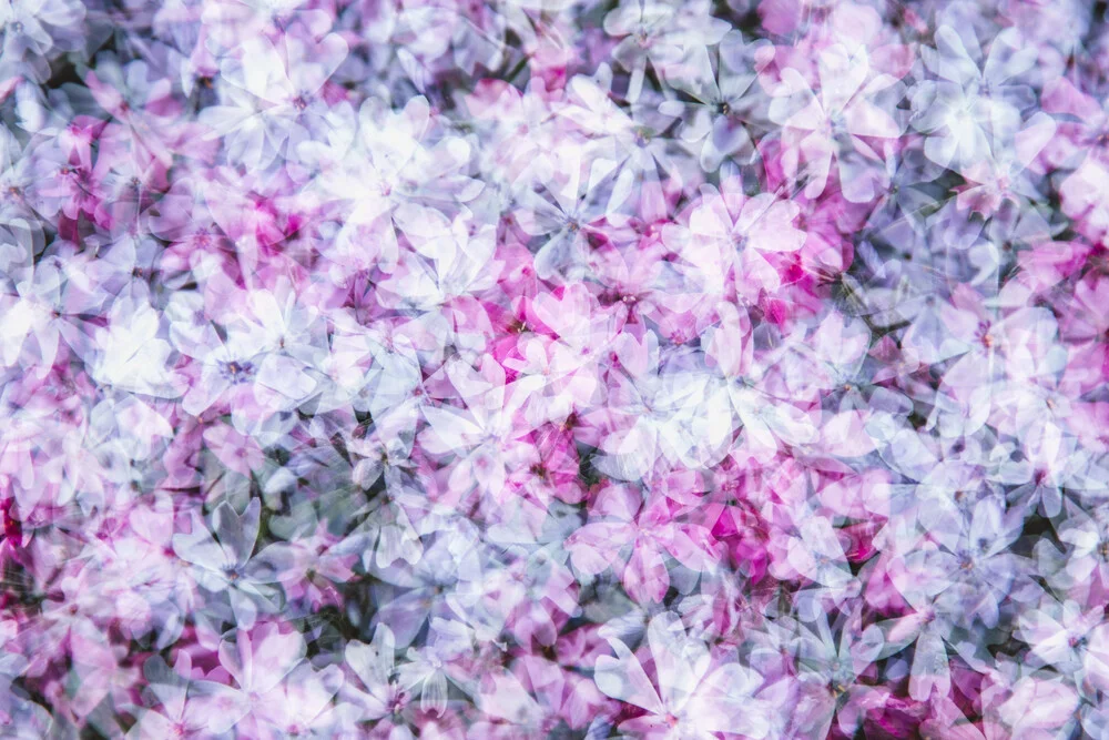 Blumenmuster abstrakt - fotokunst von Nadja Jacke
