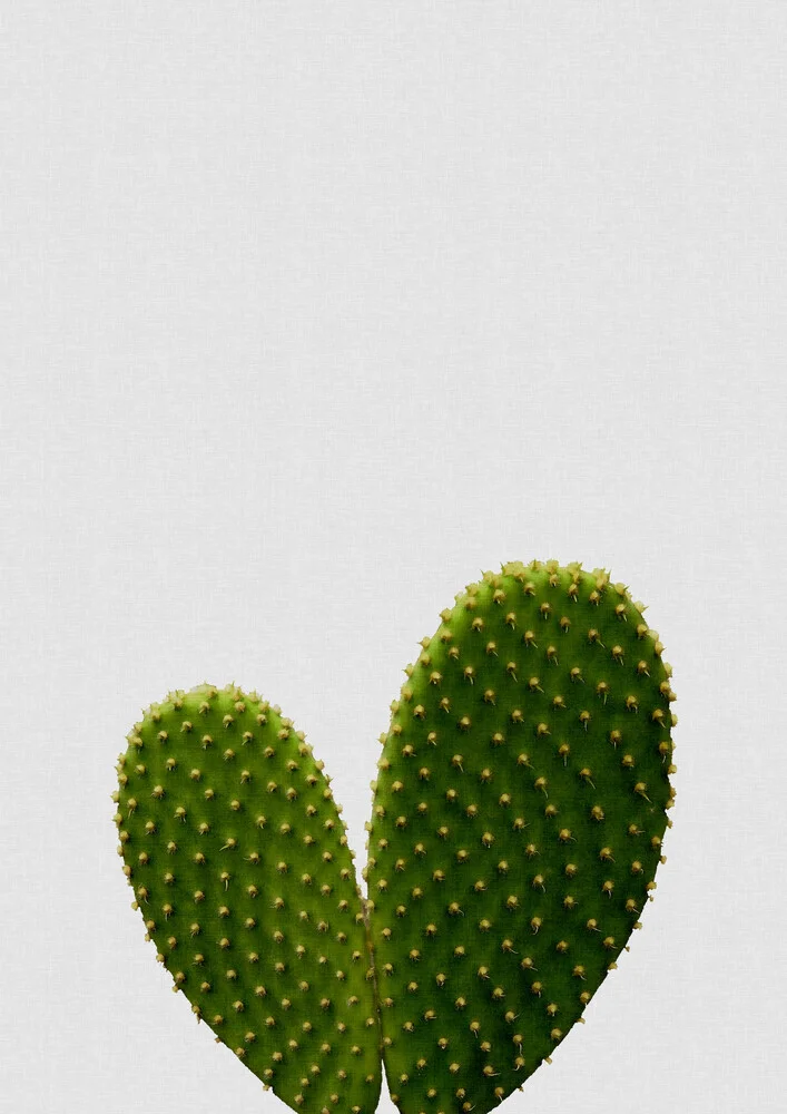 Heart Cactus - fotokunst von Orara Studio