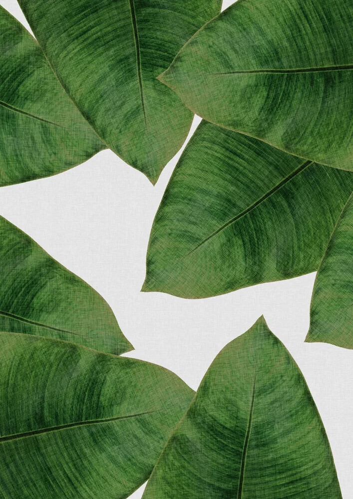 Banana Leaf II - fotokunst von Orara Studio