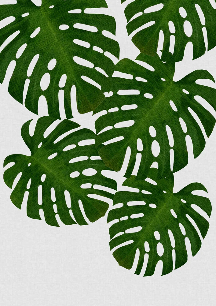 Monstera Leaf I - fotokunst von Orara Studio