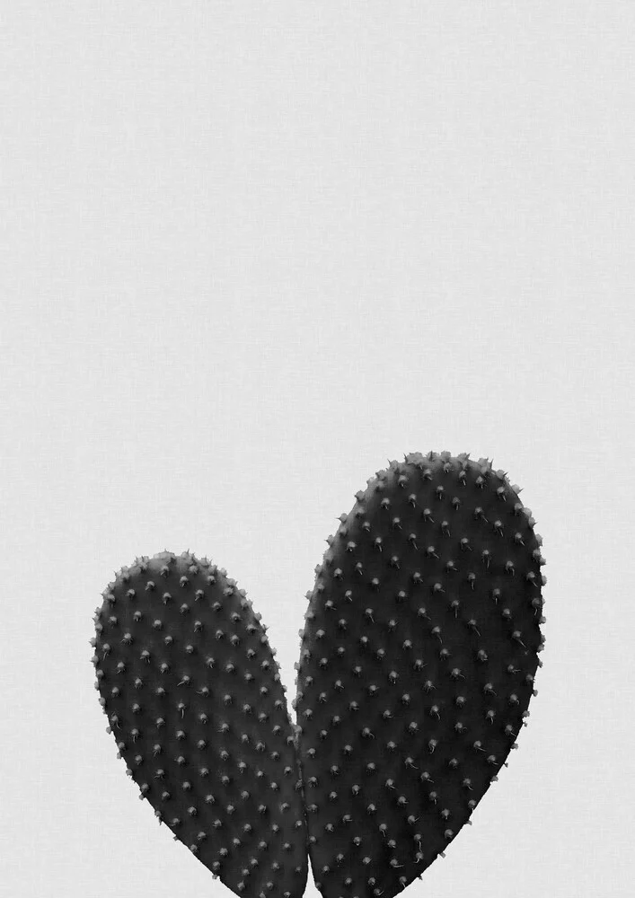 Heart Cactus Black & White - fotokunst von Orara Studio