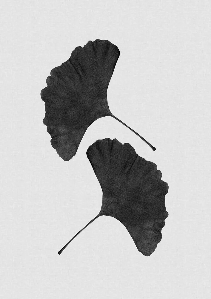 Ginkgo Leaf Black & White II - fotokunst von Orara Studio