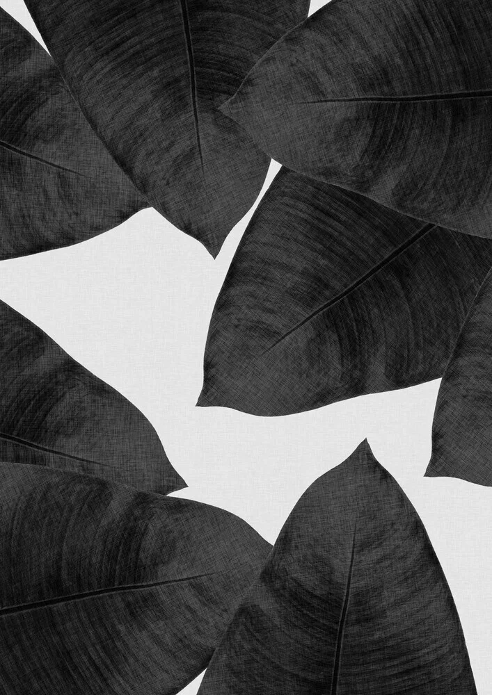 Banana Leaf Black & White II - Fineart photography by Orara Studio