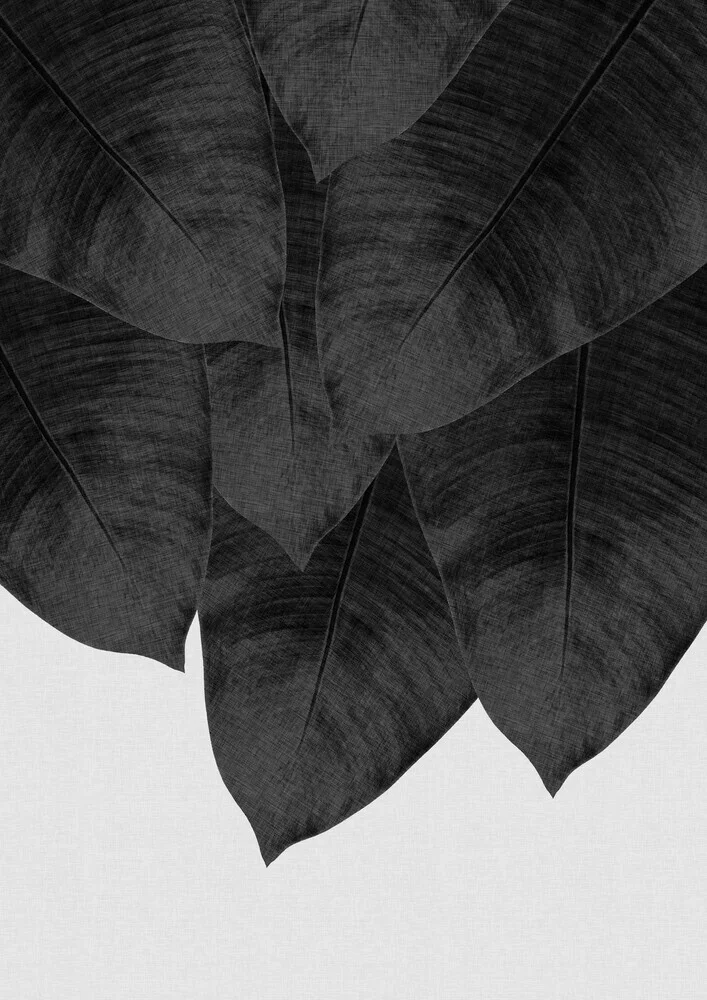 Banana Leaf Black & White III - fotokunst von Orara Studio