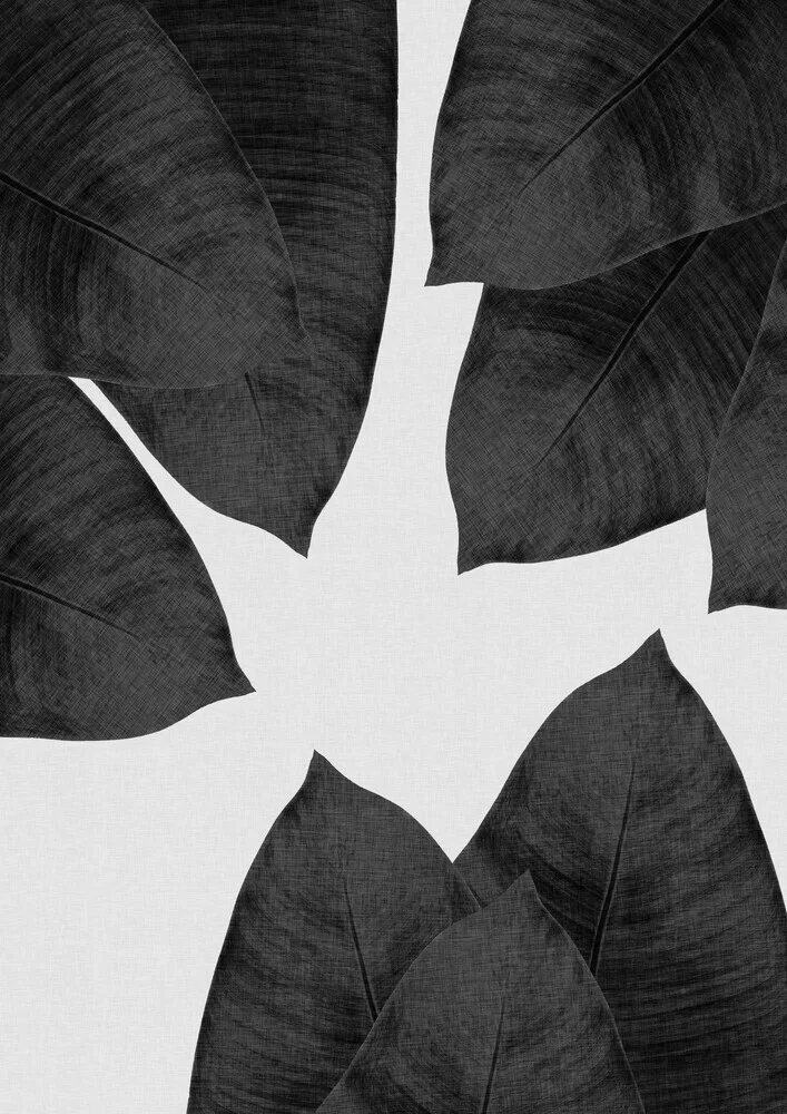 Banana Leaf Black & White I - fotokunst von Orara Studio