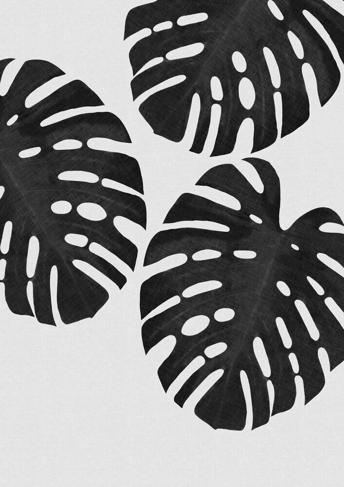 Monstera Leaf Black & White III - fotokunst von Orara Studio