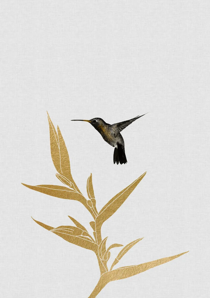 Hummingbird & Flower II - fotokunst von Orara Studio