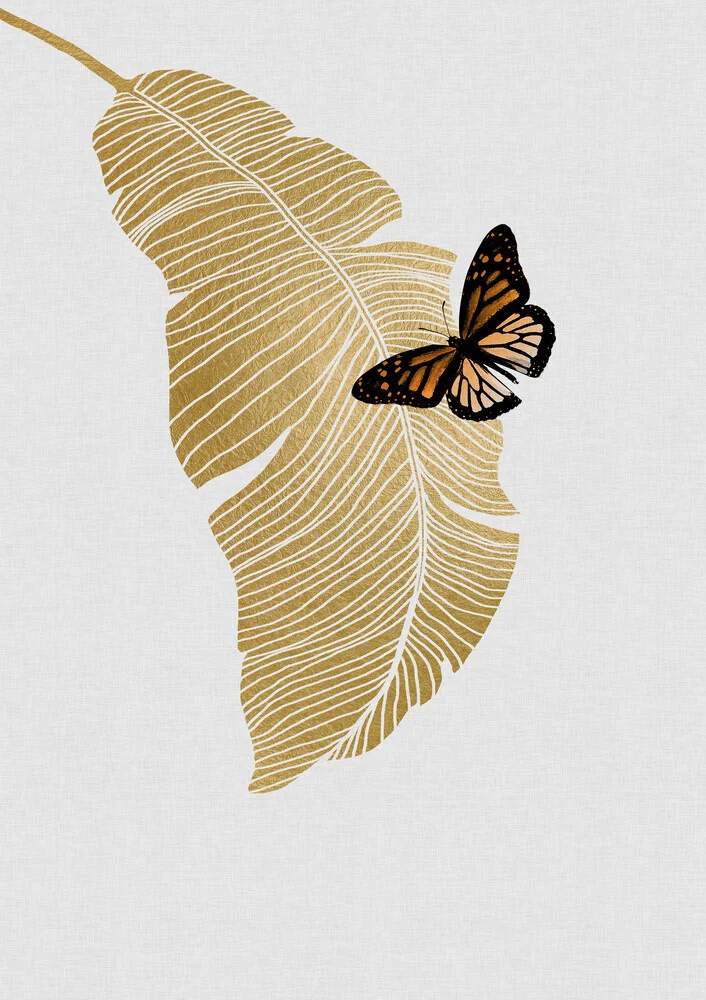 Butterfly & Palm Leaf - fotokunst von Orara Studio