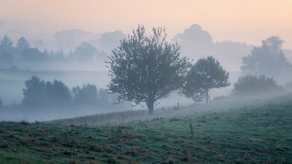 Nebelmorgen im Sommer - fotokunst von Nils Steiner