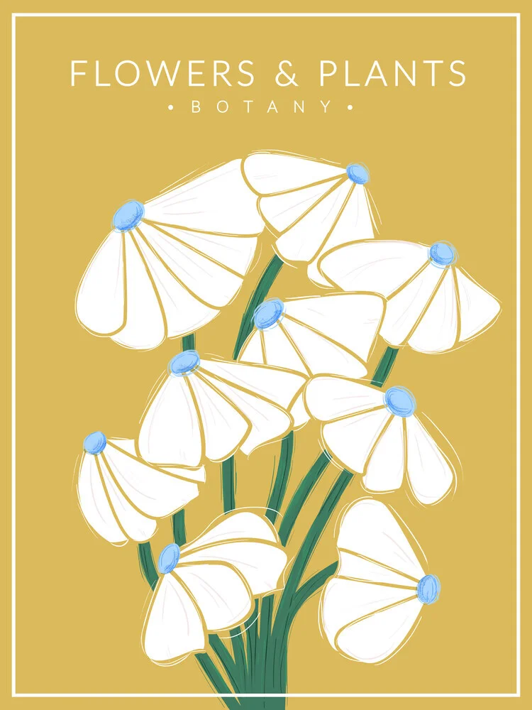 White Flowers - Botany no2 - fotokunst von Ania Więcław