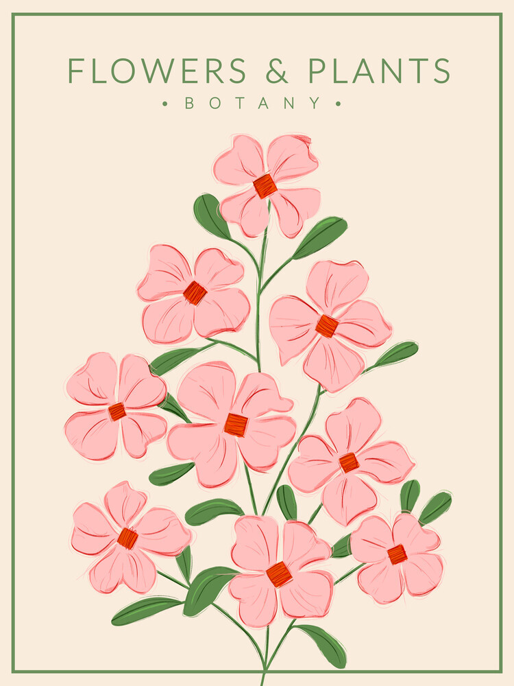 Soft Pink Flowers - Botany no4 - Fineart photography by Ania Więcław