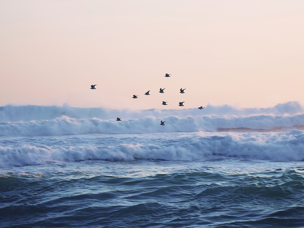 let the sea set you free - fotokunst von Thiago Quiuque