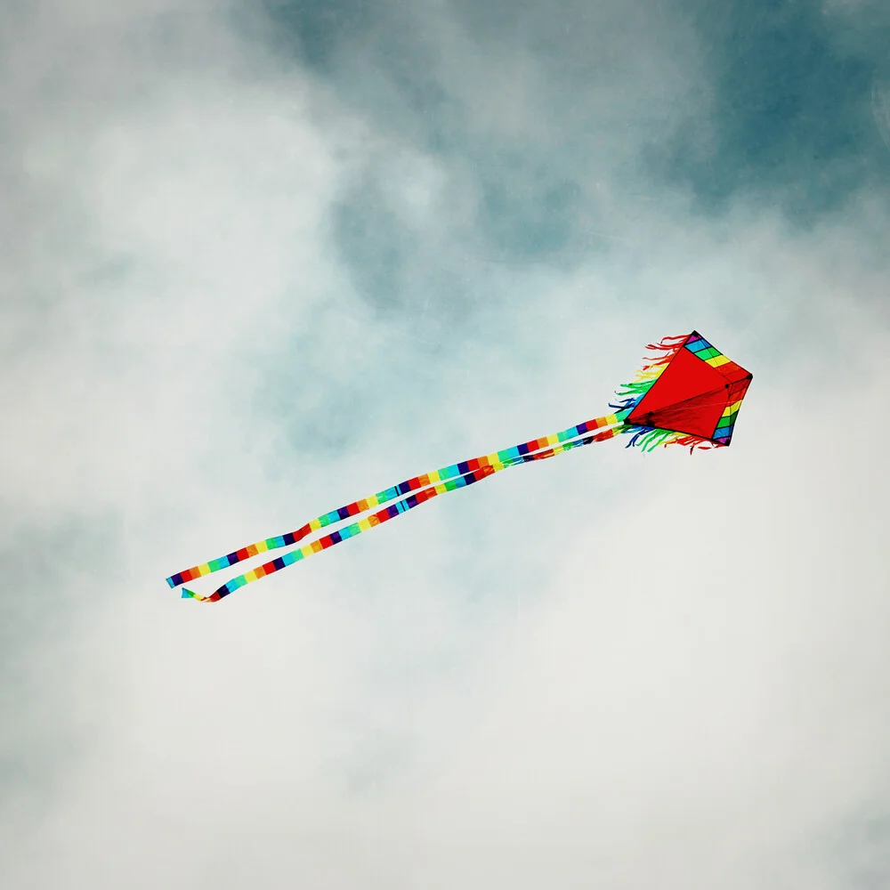 The flight - fotokunst von Manuela Deigert