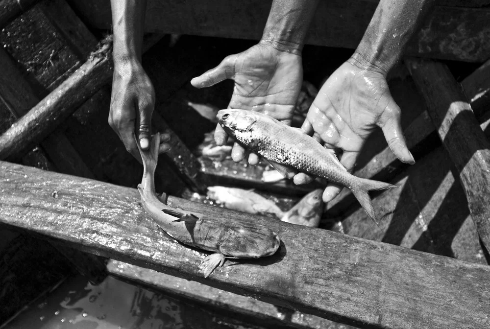 Fishermen with catch - fotokunst von Jakob Berr