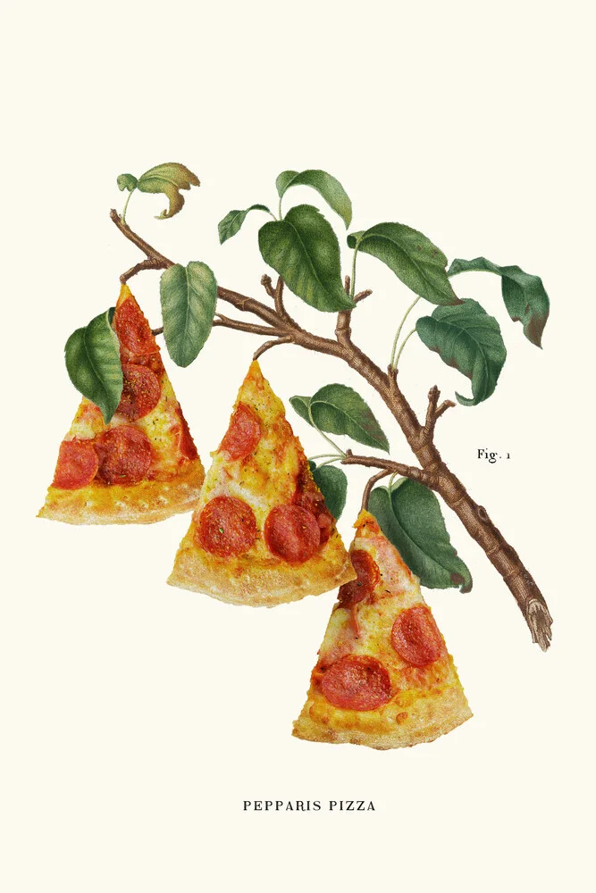 Pizza Plant - fotokunst von Jonas Loose