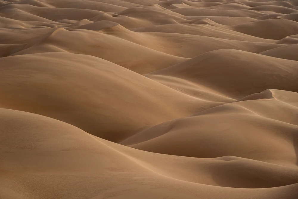 Sea of Sand - Fineart photography by Photolovers .