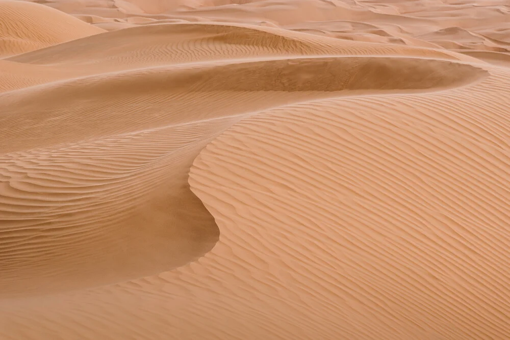 Dunes in the desert - Fineart photography by Photolovers .