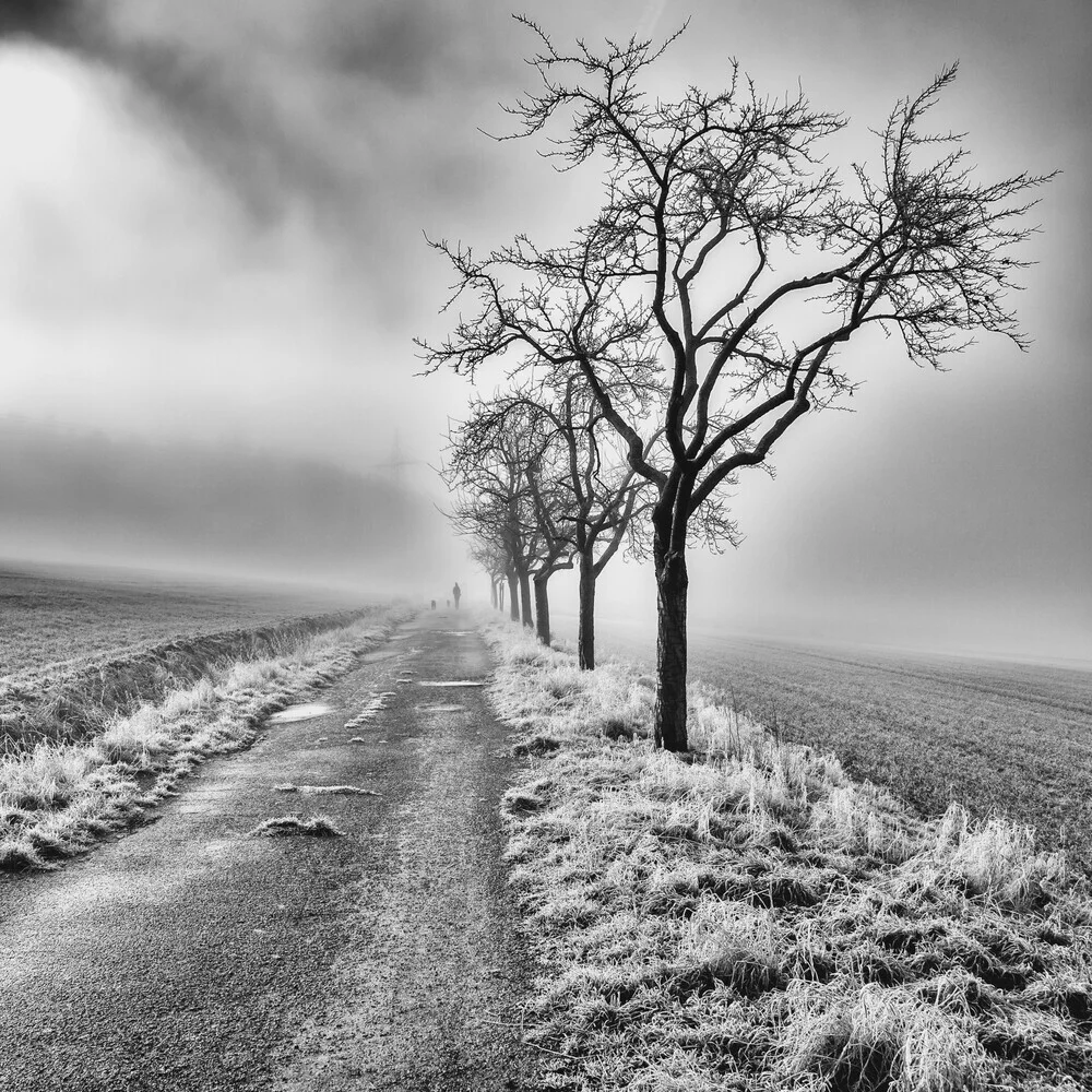 Long walk home - Fineart photography by Robert Kuavi