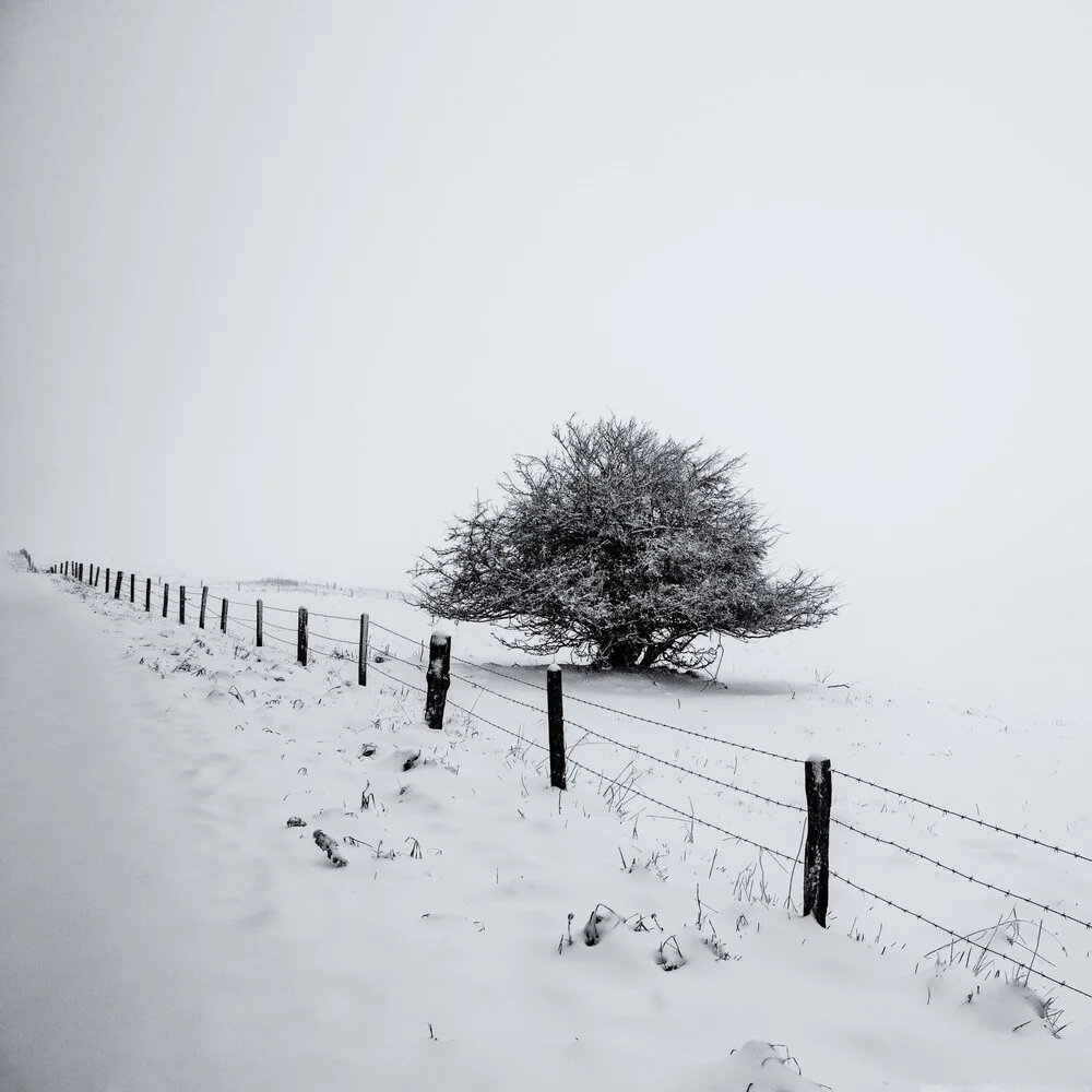 Winter Story - fotokunst von Robert Kuavi