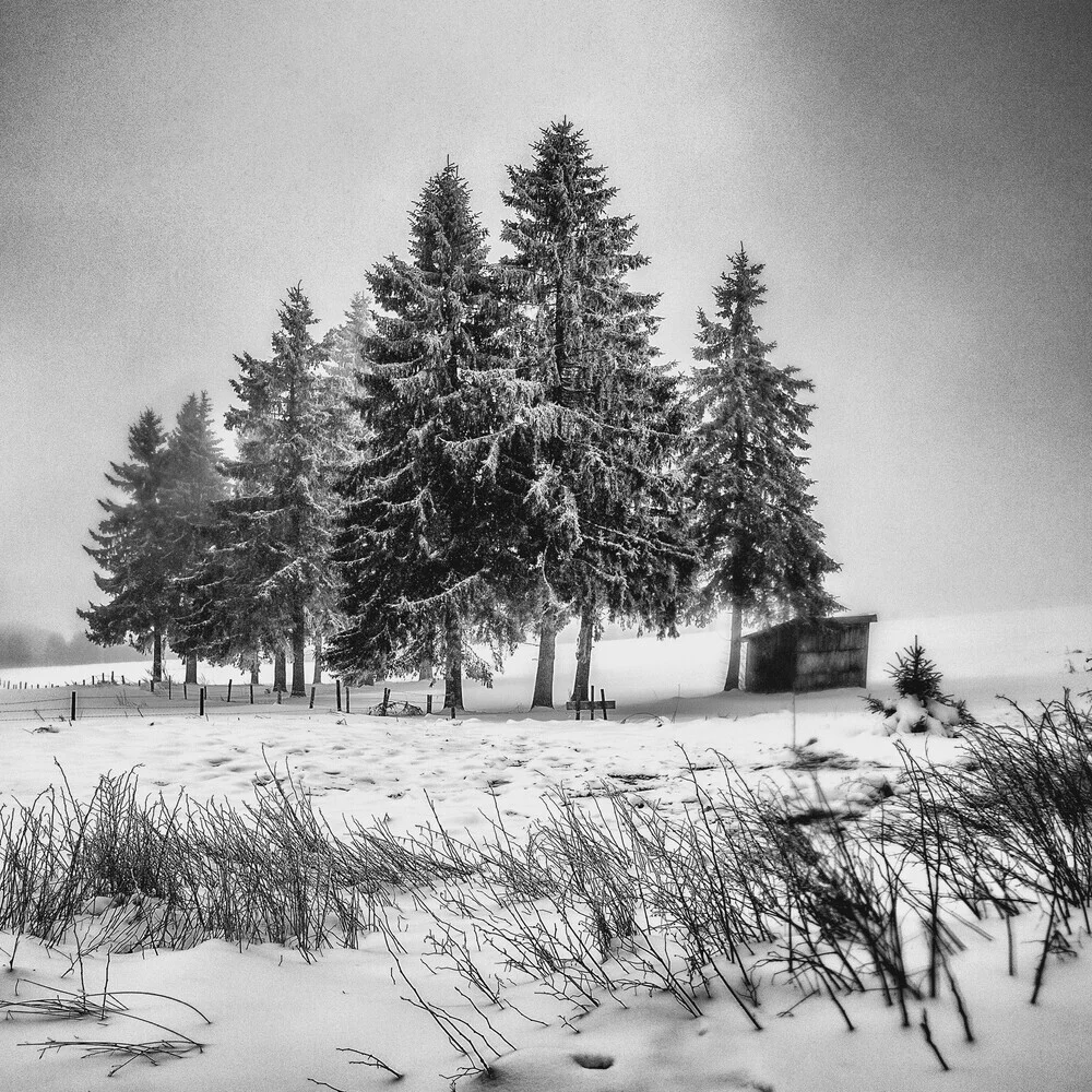 Cold Winter Morning - fotokunst von Robert Kuavi