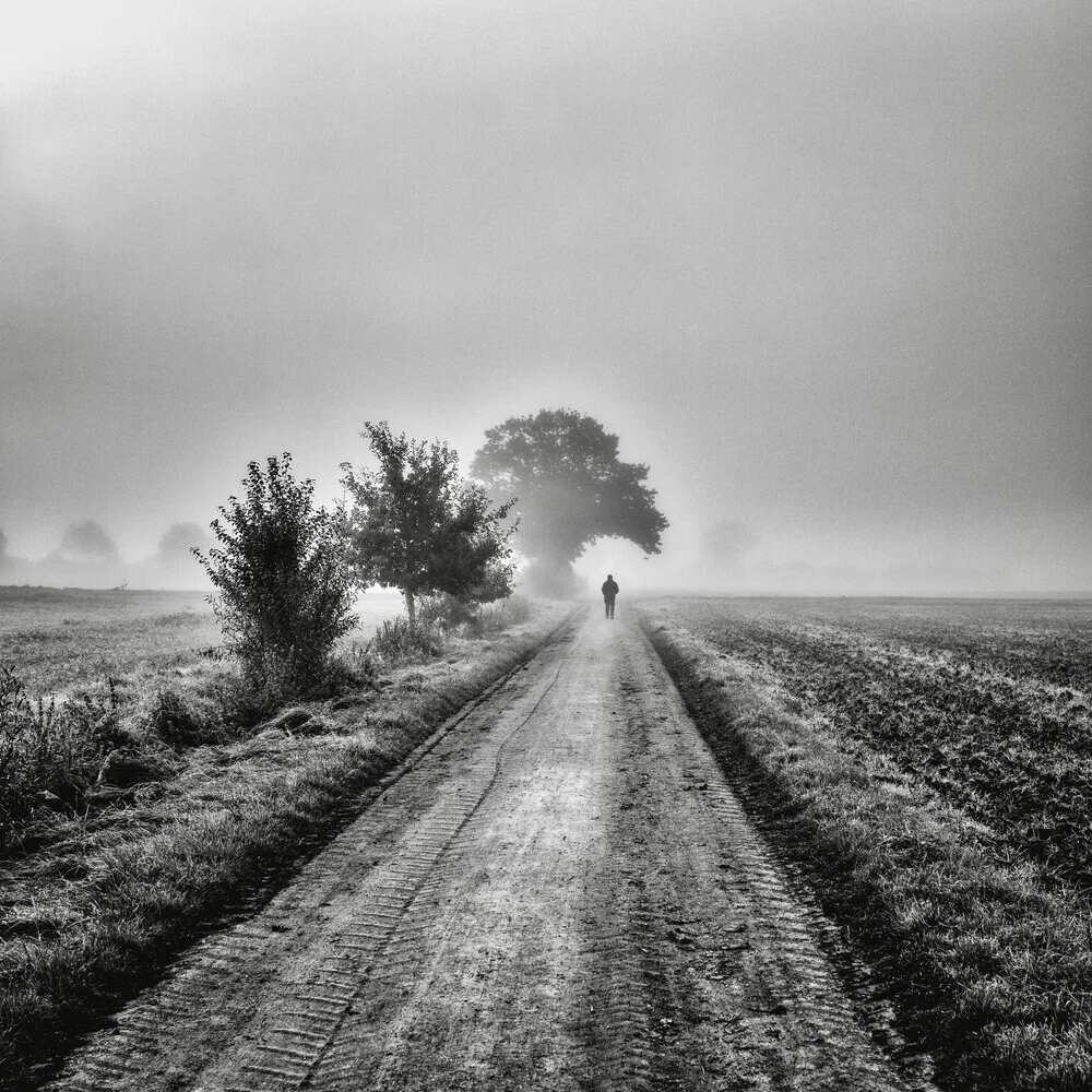Misty Morning - fotokunst von Robert Kuavi