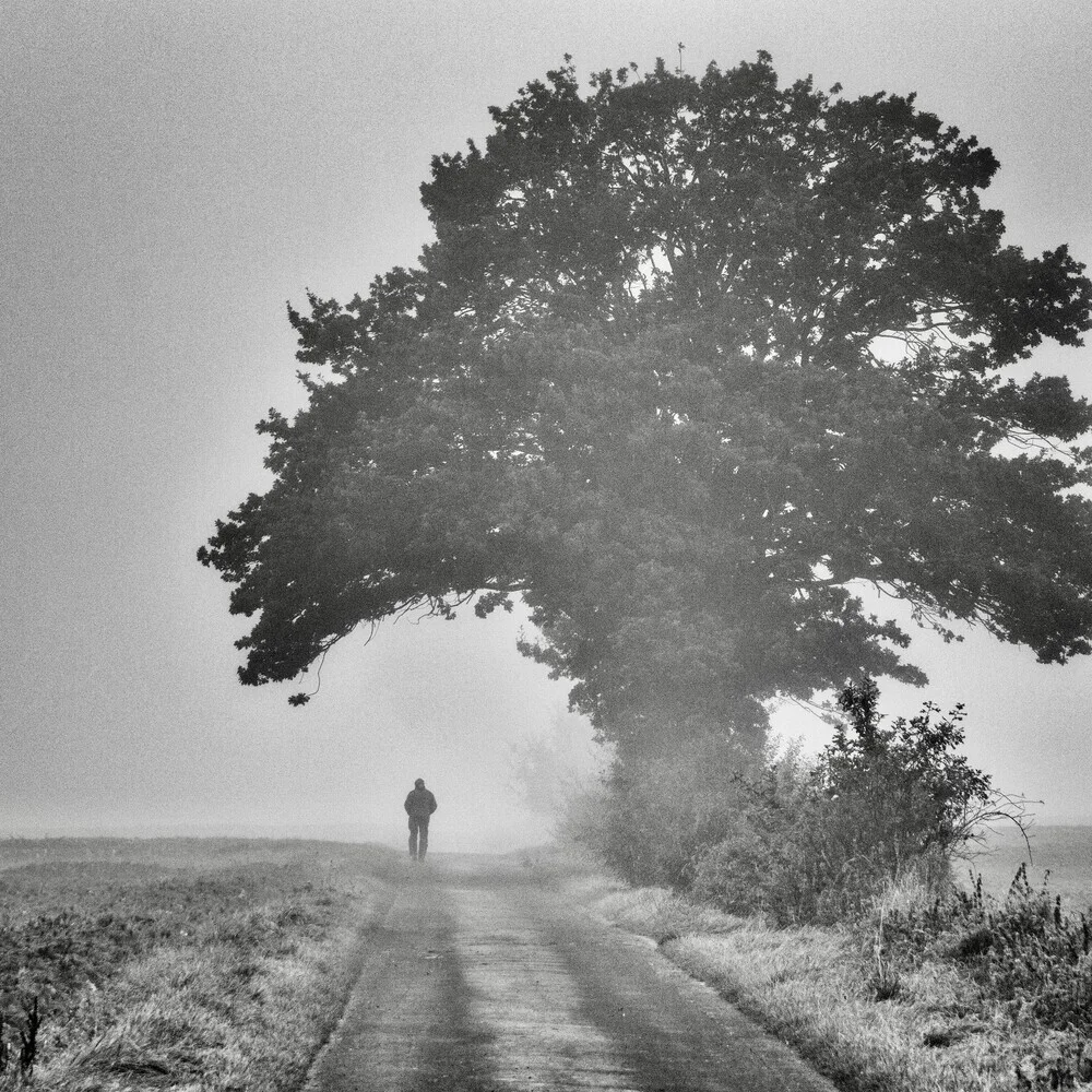 Lonely - fotokunst von Robert Kuavi