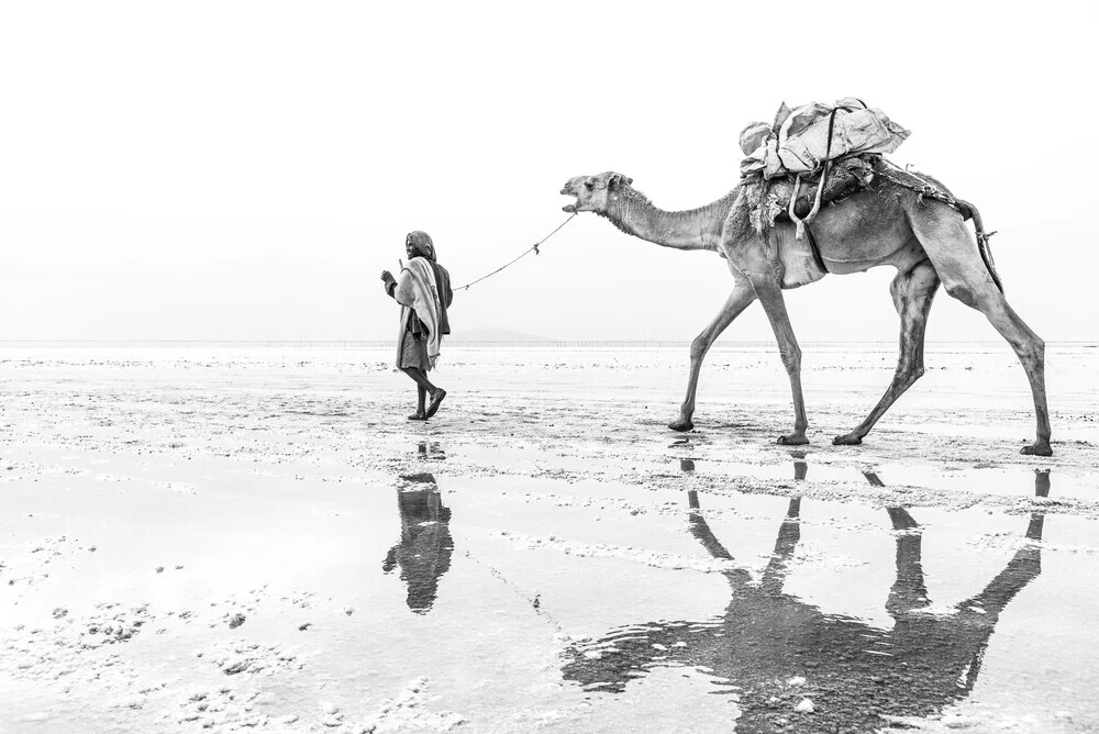 Man with his camel - fotokunst von Photolovers .